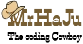 MrHaJu the Coding Cowboy